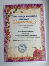 Благодарственное письмо МБДОУ детский сад "Теремок" 2017г.